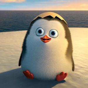 pingvinchik