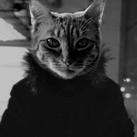 Никита Рейх