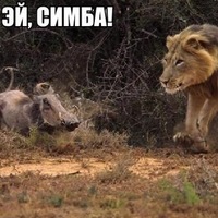 Дмитрий Мозжеров
