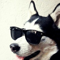 Серёга Яшин