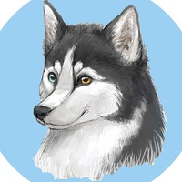 Альмир Ибрагимов