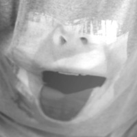 Петр Боронин