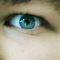 Александр Лейн