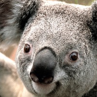 Никита Казаченко