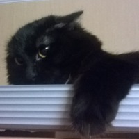 Денис Компониц