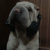 Кирилл Ганин