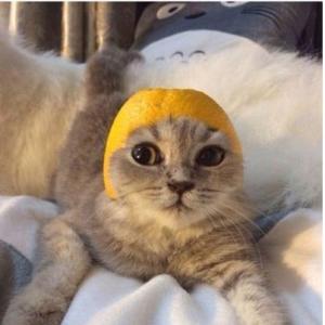 Данил Кирьянов