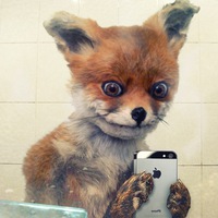 Влад Дрогунов