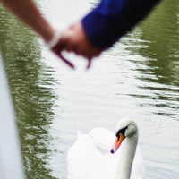 Сергей Евсюков