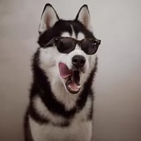 Данил Шваков