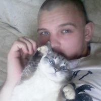 Александр Алешин