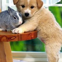 Татьяна Шамарина