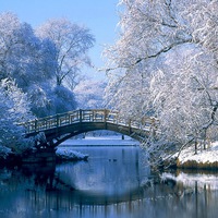 Максим Тагиров