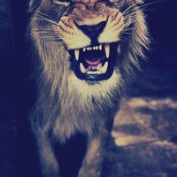 Вадим Нестеренко