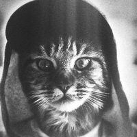 Вадим Чвыров