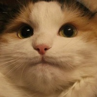 Даниил Кудымов