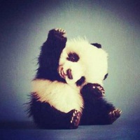 Просто Панда