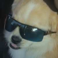 Илья Теперик