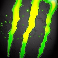 Максим Кашицин