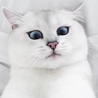 Кирилл Романов