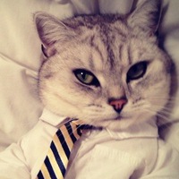 Сергей Писенко