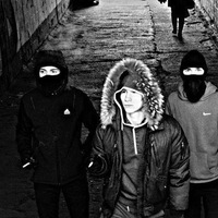 Андрей Рогозов