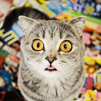 Саитов Нариман