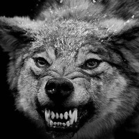 Александр Юкневичус