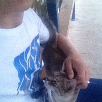 Николай Шевченко