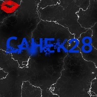 Санёк Сидоров