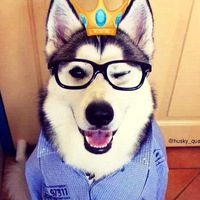 Антон Крылов