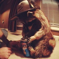 Богдан Воин