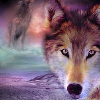 Ильсур Бадриддинов