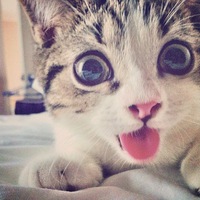 Саша Иванов