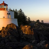 Алексей Цой