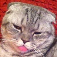 Владимир Лошадкин