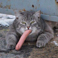 Денис Сухоруков