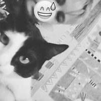 Павел Будняк