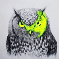 Андрій Степанов