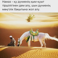 Акжол Шамей