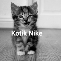 Денис Новиков