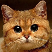 Михаил Бирюков