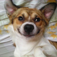 Никита Мищенко