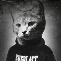 Владислав Климась