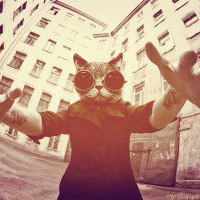 Антон Медведев