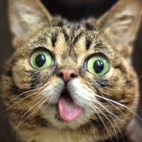 Миша Ларионов