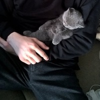 Женя Бойков