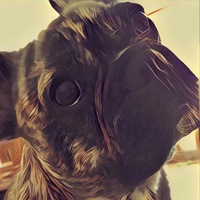 Влад Ращупкин
