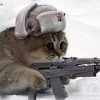 Никита Барыкин