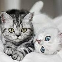 Ярослав Костюк